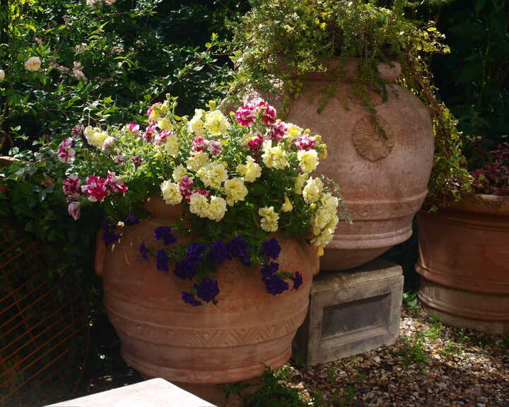 antique terracotta oil jar 