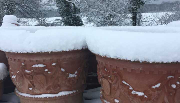 Protecting Terracotta Pots and Planters From Frost: A Winter Care Guide