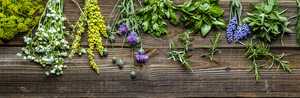Herbs on board