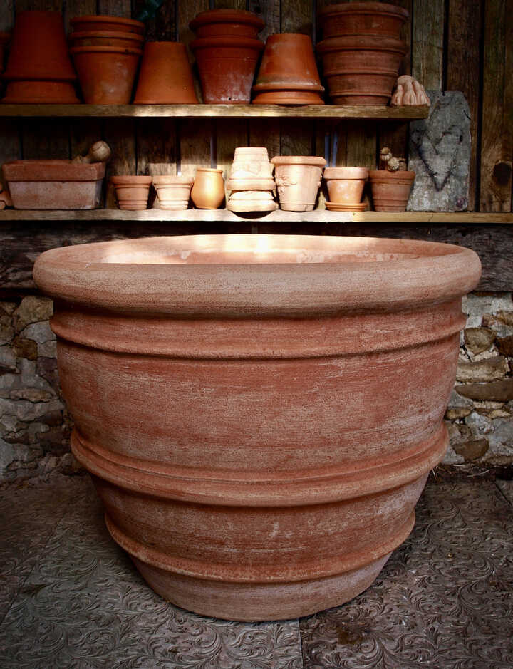 Extra large terracotta pots for deals trees