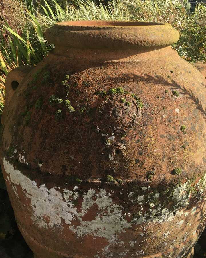 1800s Agestri Kiln Olive Jar close up