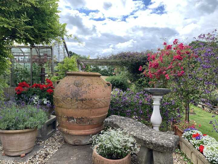 Olive Jar in garden setting