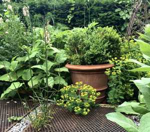 Conca classica large pot