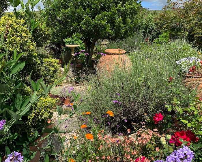 rustic antique oil jar