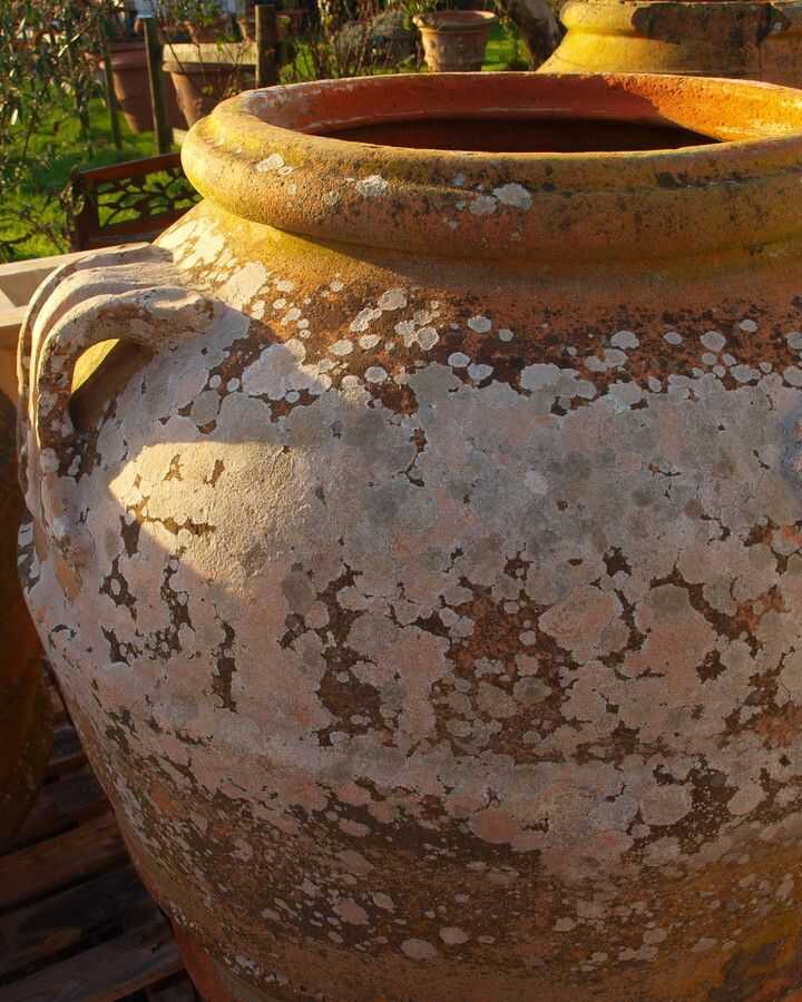 Traditional Impruneta Antique Orcio close up