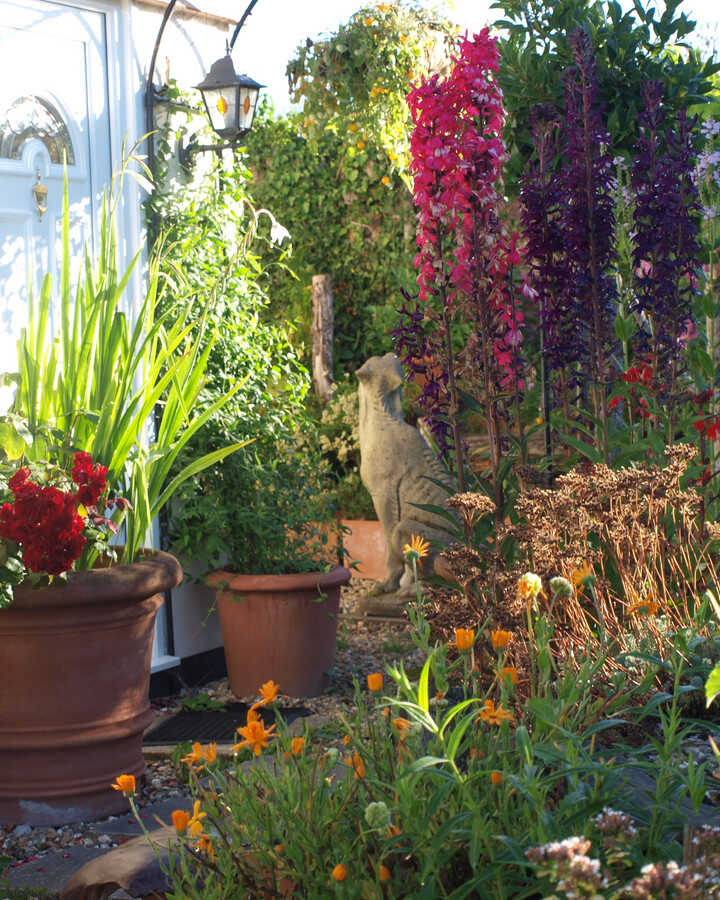 Colourful flowers in terracotta planters and pots