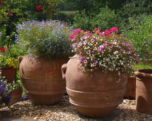 Large Orcio pots planted with flower display Large Orcio pots planted with flower display