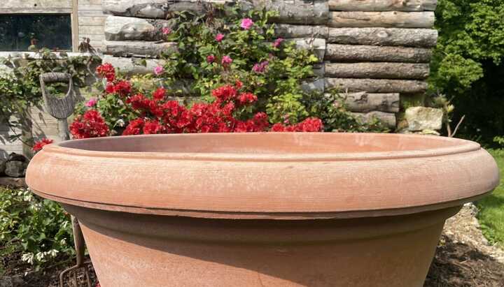 Extra-Large Terracotta Pots: The Ultimate Garden Centrepiece