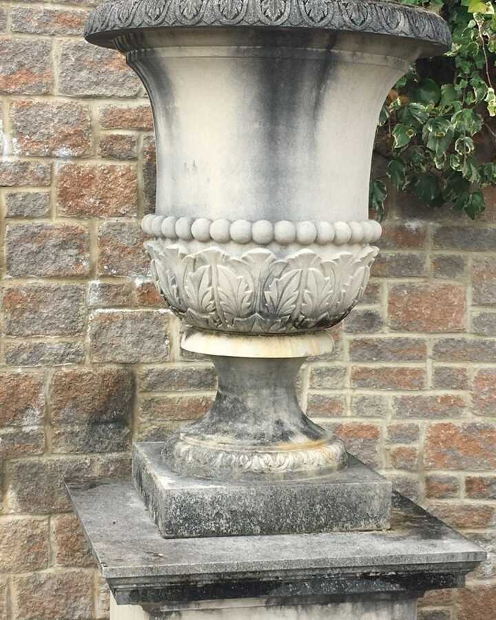 Campana Vase on Georgian Pedestal