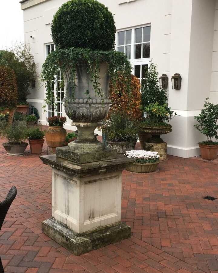 Campana Vase on Georgian Pedestal