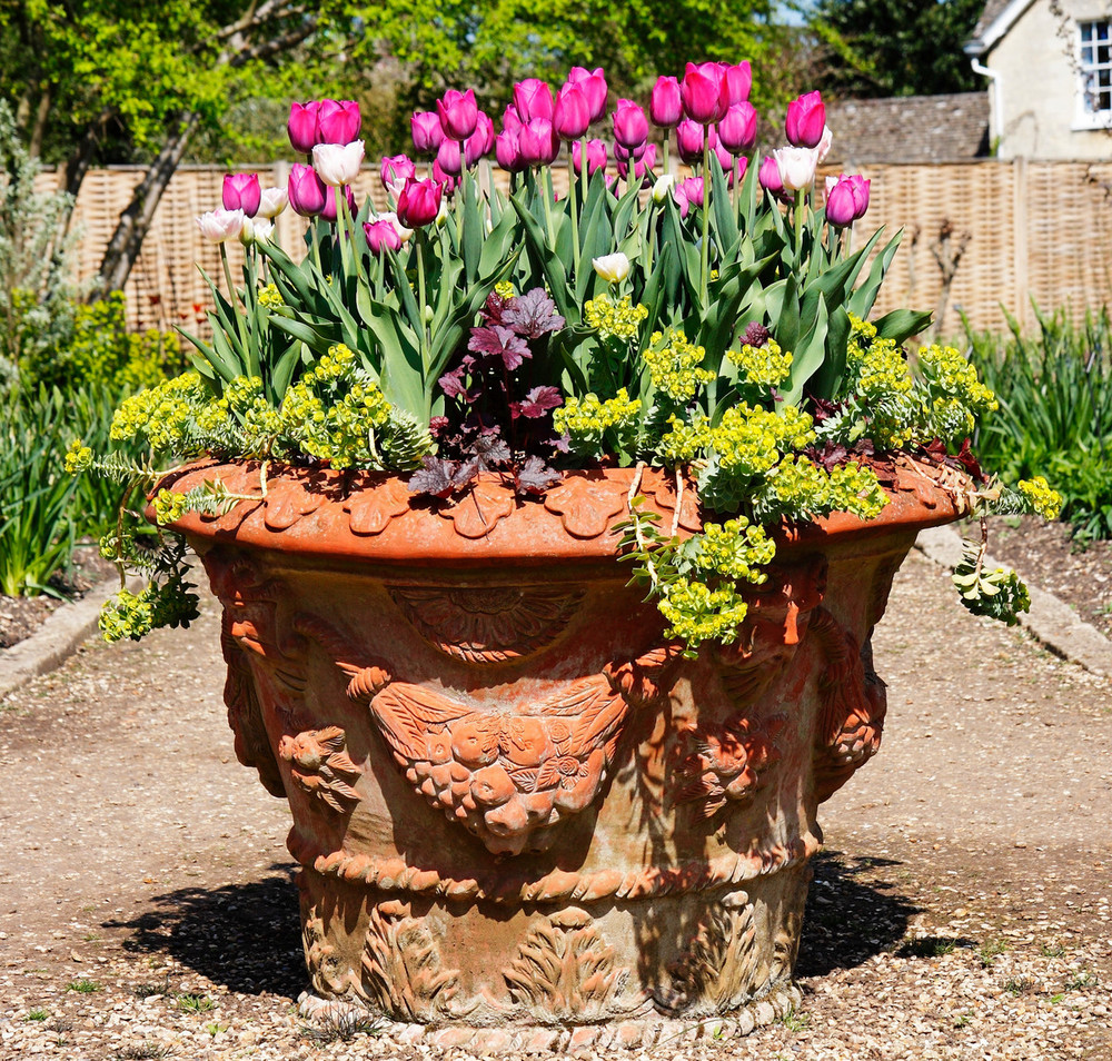 how-to-prepare-terracotta-pots-for-planting-mud-mountain-handmade